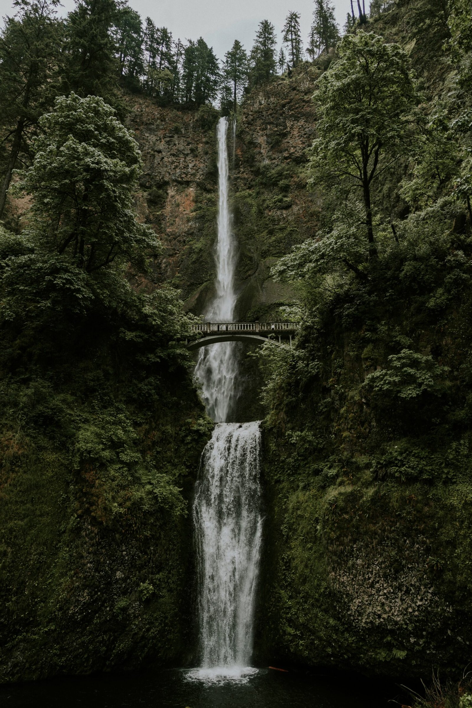 katie-drazdauskaite-NyGXHLRfdPg-unsplash